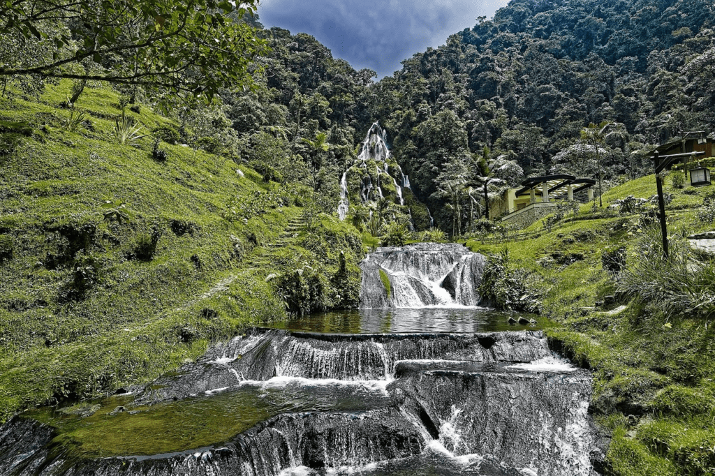 costa rica cheap travel. The Cloud forest in Costa Rica