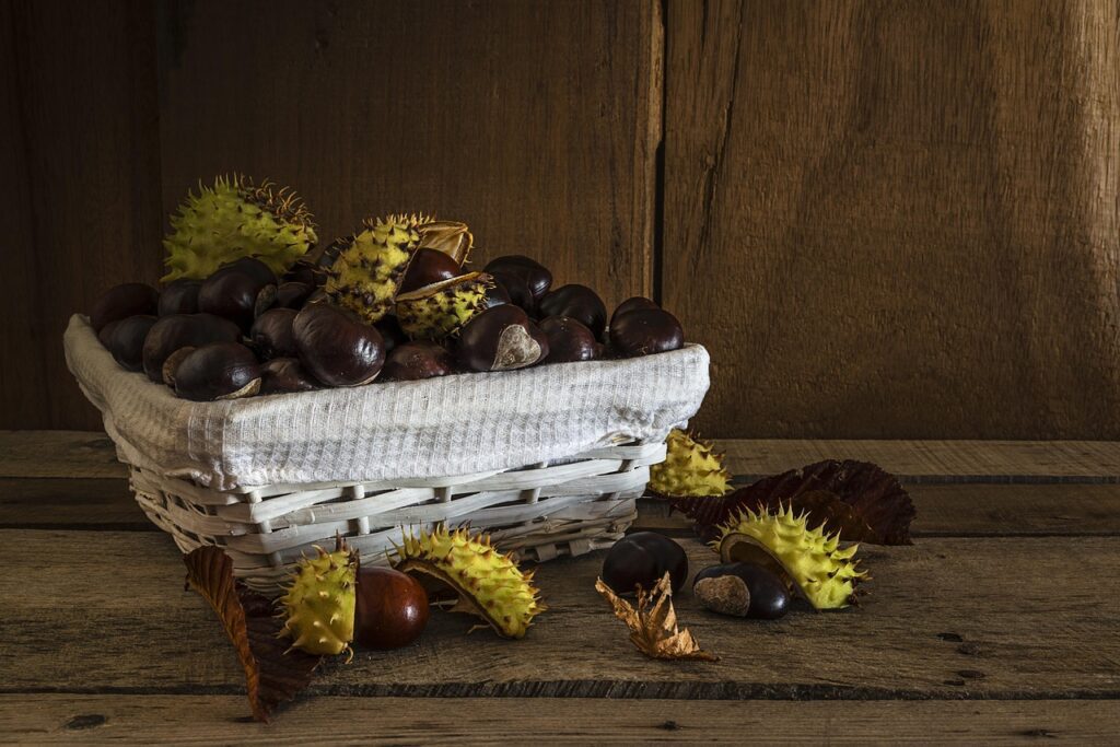 Local chestnut stand during La Castanyada, a November tradition in Barcelona