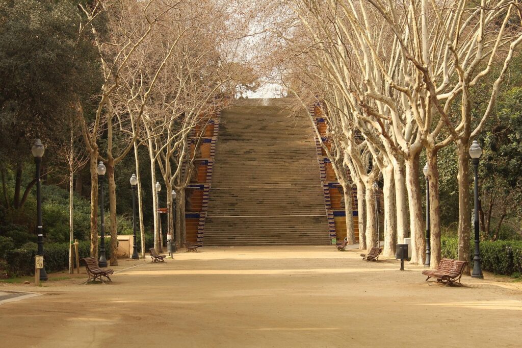 Quiet staircase in Montjuïc with soft November light and fallen leaves